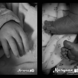 morgane photographie