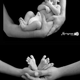 morgane photographie