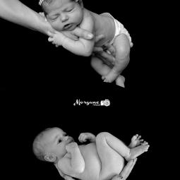 morgane photographie