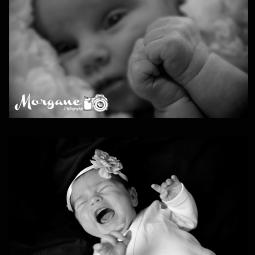 morgane photographie