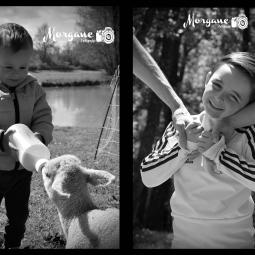 morgane photographie